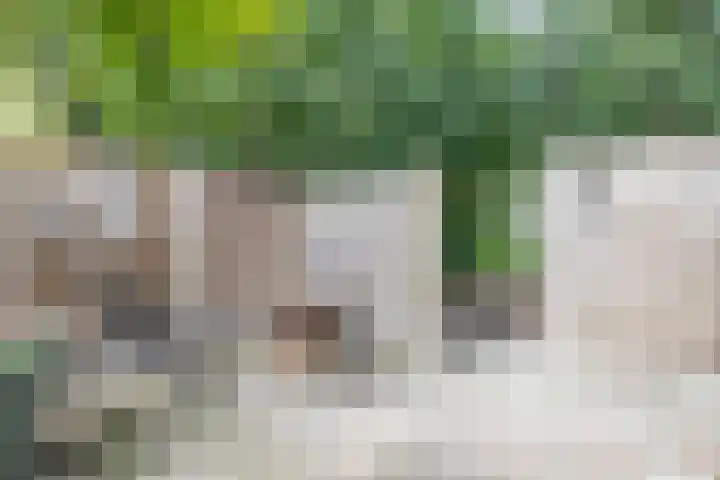 Boskamp 7 Vries thumbnail 48