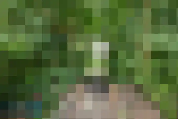 Boskamp 7 Vries thumbnail 49