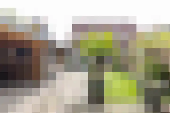 Boskamp 7 Vries thumbnail 5