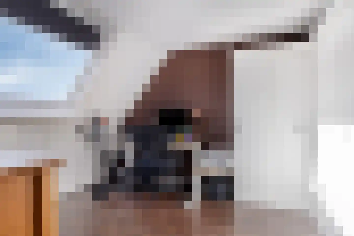 Boskamp 7 Vries thumbnail 52