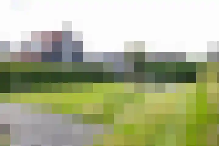 Boskamp 7 Vries thumbnail 6