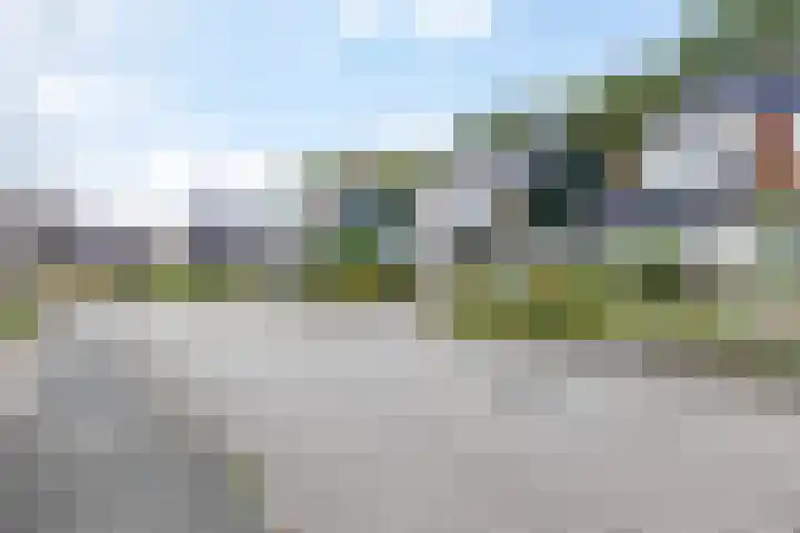 Boskamp 7 Vries thumbnail 7