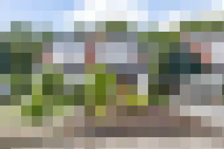 Boskamp 7 Vries thumbnail 8