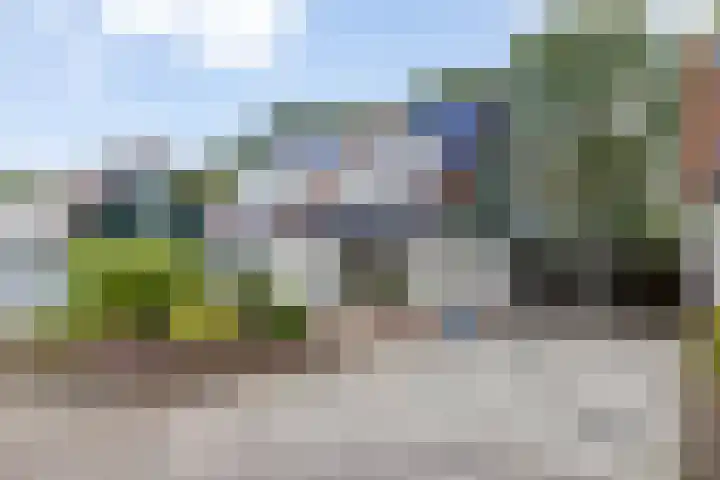 Boskamp 7 Vries thumbnail 9