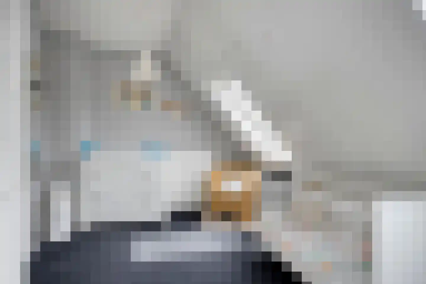 Boskamp 77 Hendrik-Ido-Ambacht thumbnail 15