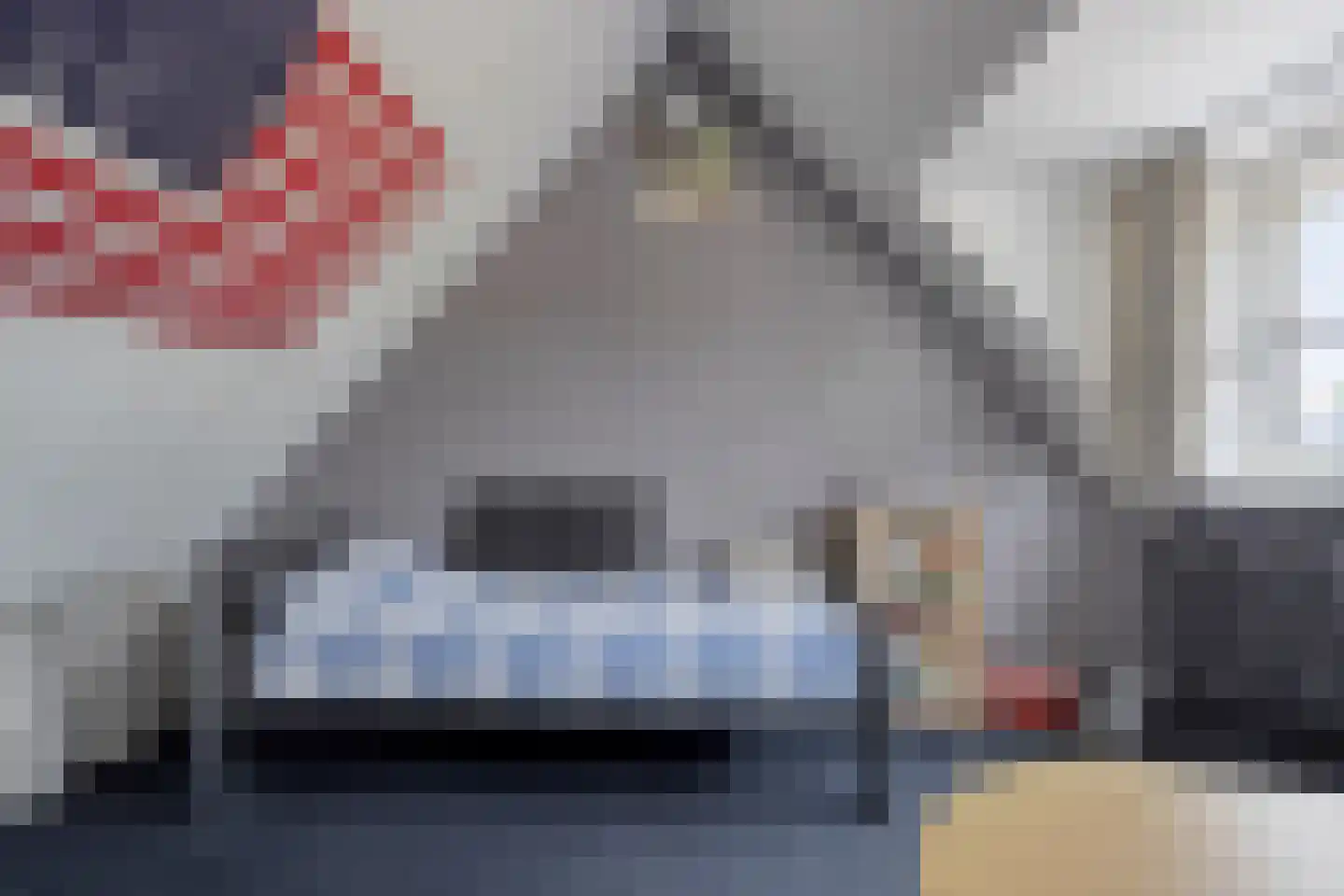 Boskamp 77 Hendrik-Ido-Ambacht thumbnail 21
