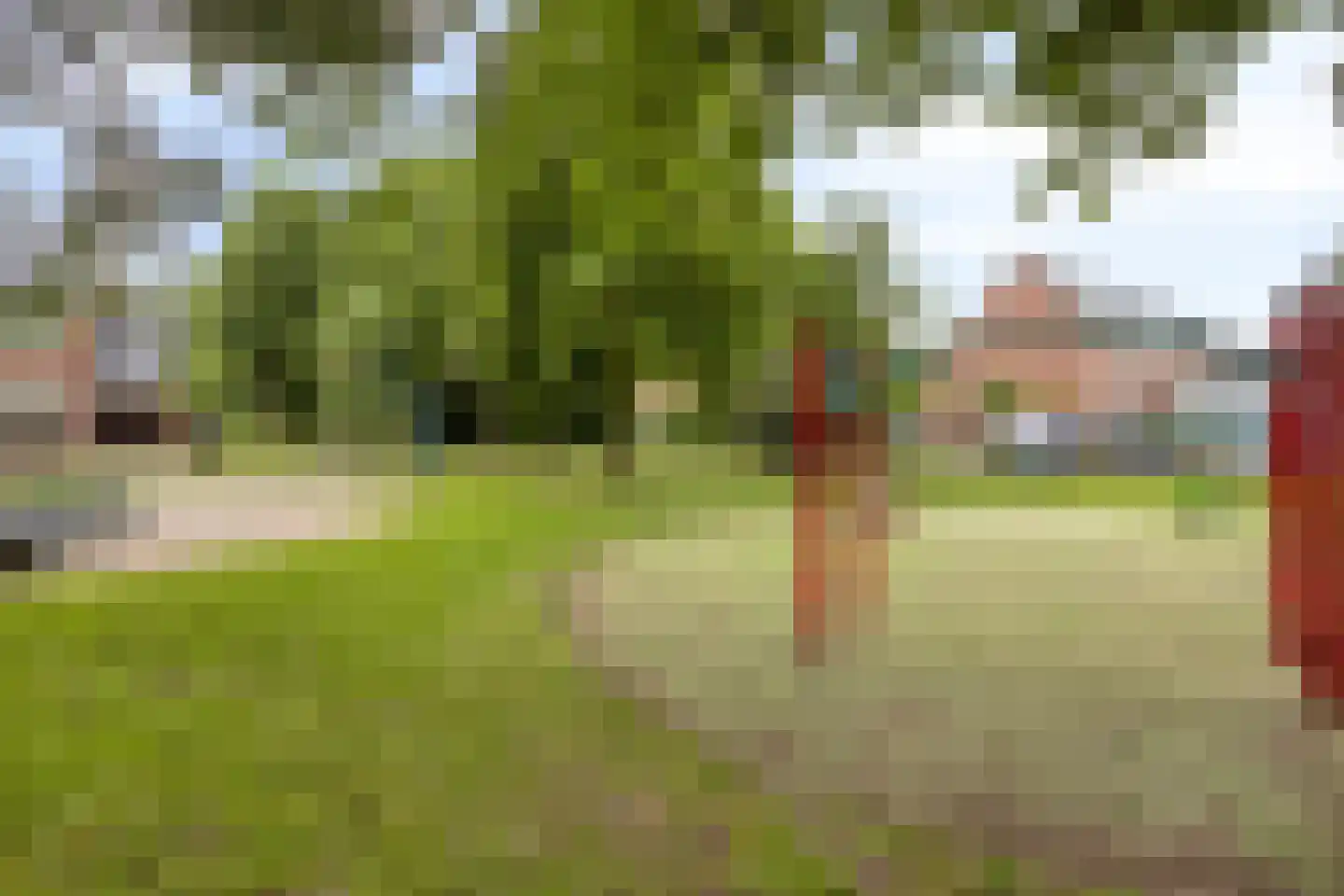 Boskamp 77 Hendrik-Ido-Ambacht thumbnail 30