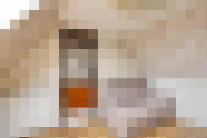 Boskamp 79 Hendrik-Ido-Ambacht thumbnail 25
