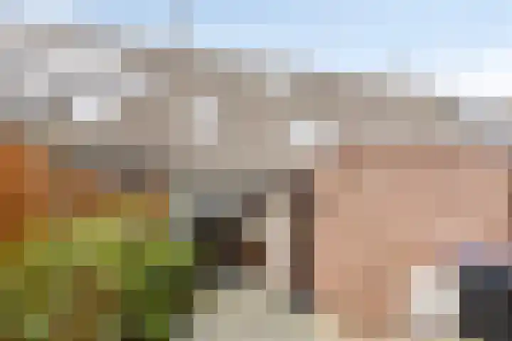 Boskamp 79 Hendrik-Ido-Ambacht thumbnail 30