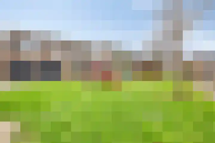Boskamp 79 Hendrik-Ido-Ambacht thumbnail 31