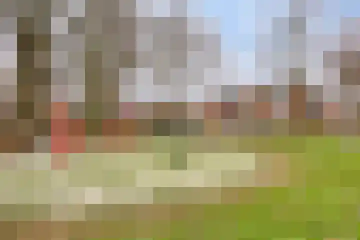 Boskamp 79 Hendrik-Ido-Ambacht thumbnail 33