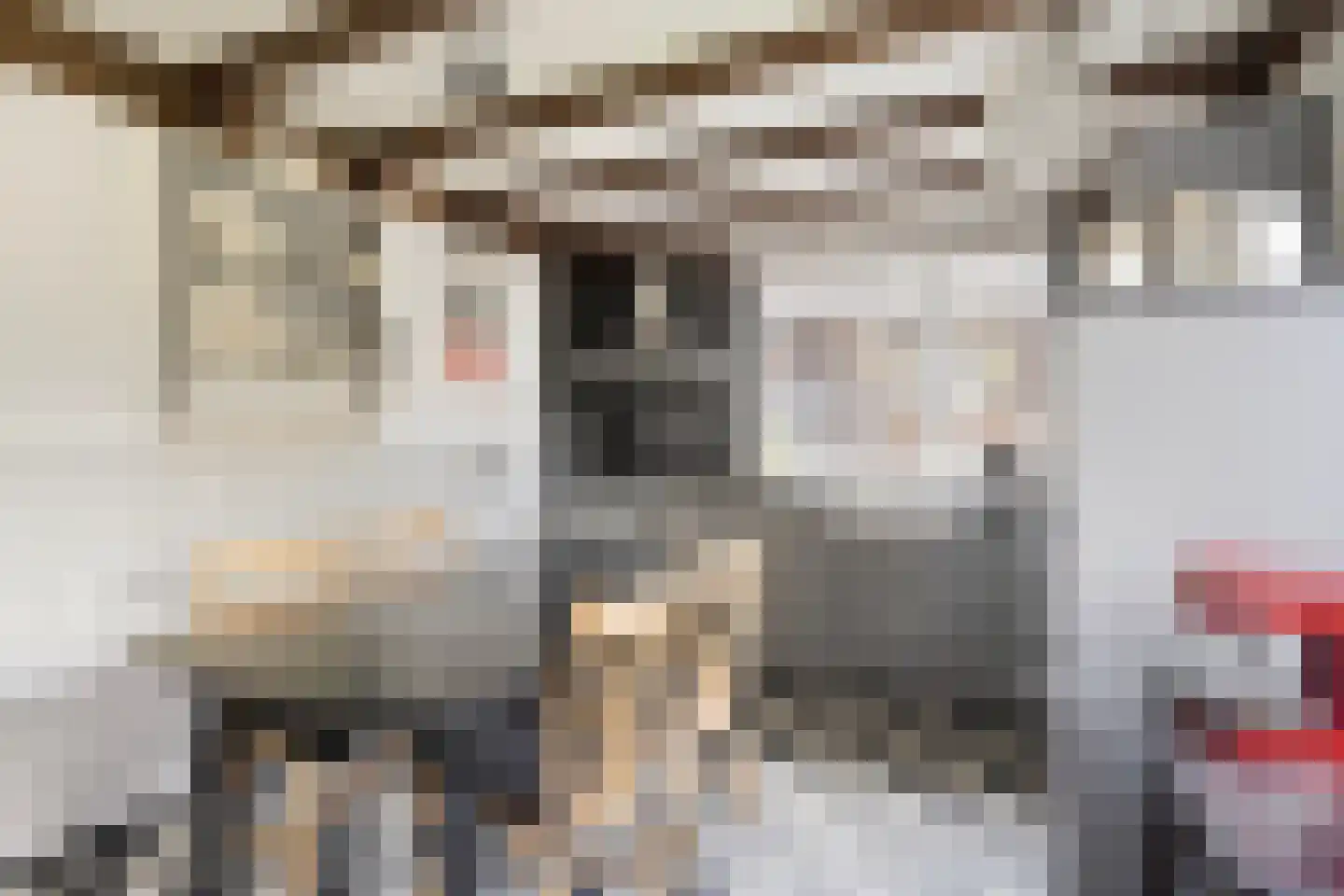 Boskamp 9 Vianen NB thumbnail 15