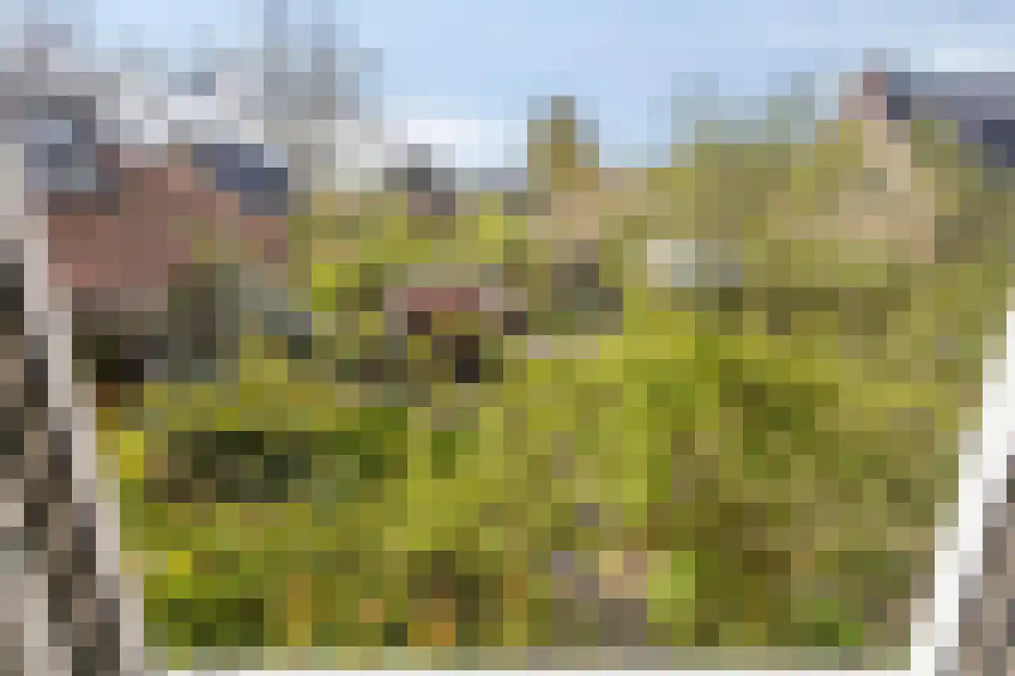 Boskamp 9 Vianen NB thumbnail 24