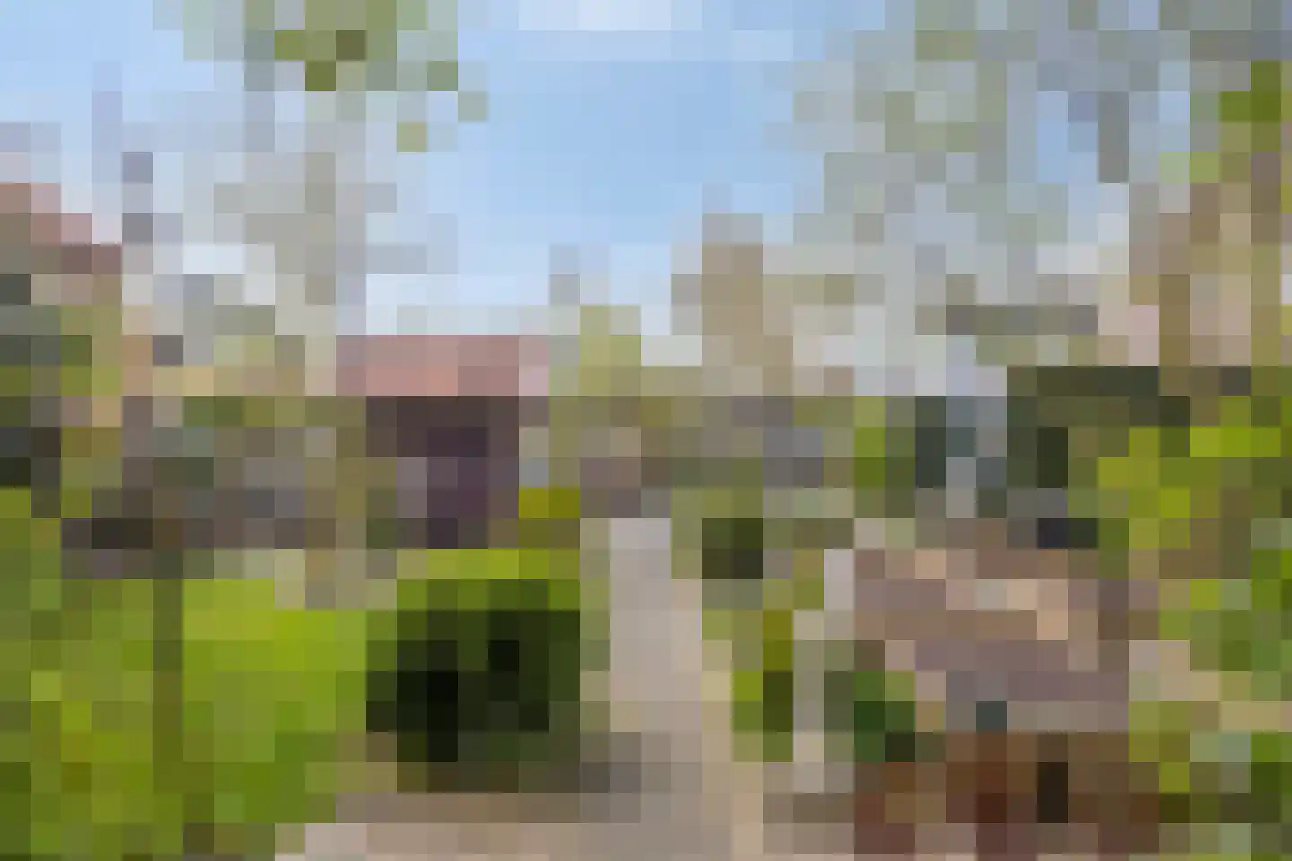 Boskamp 9 Vianen NB thumbnail 36