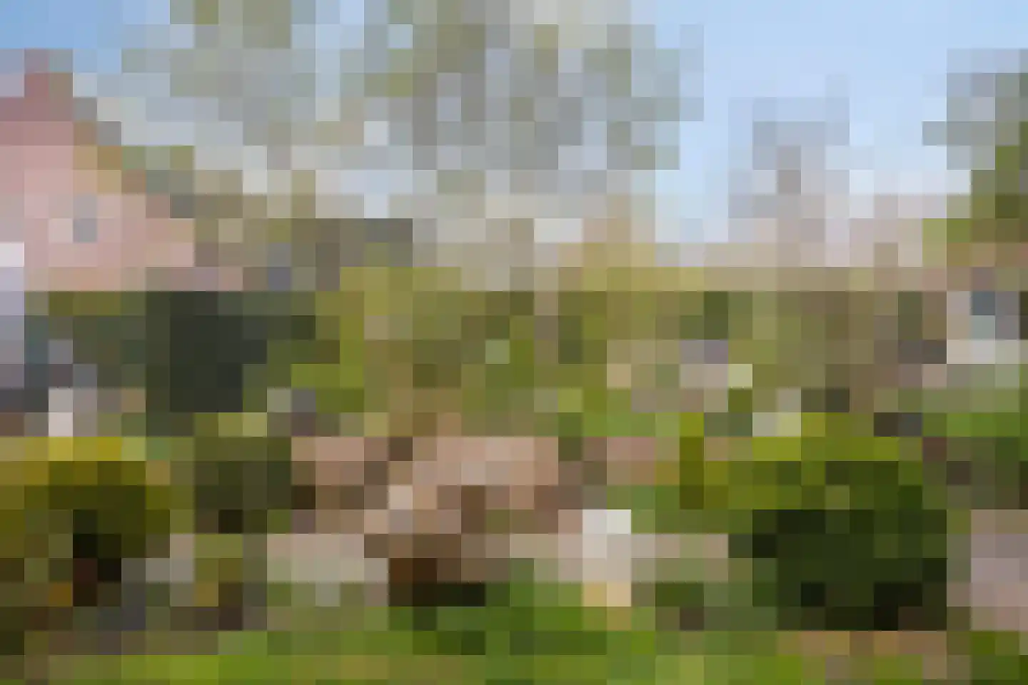 Boskamp 9 Vianen NB thumbnail 37