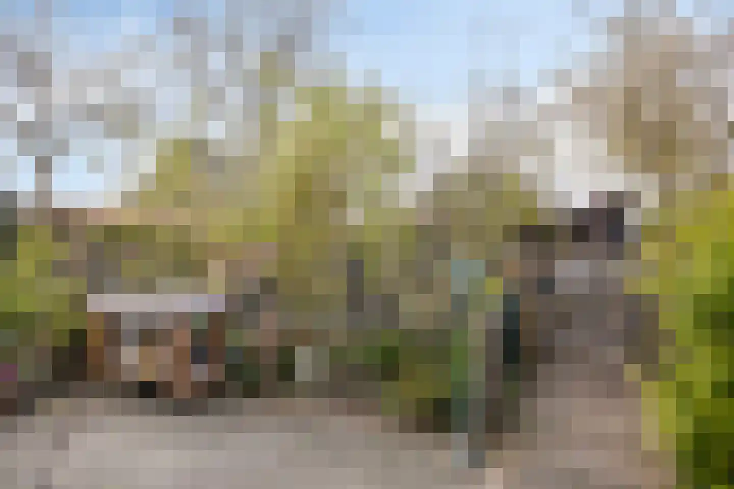 Boskamp 9 Vianen NB thumbnail 38