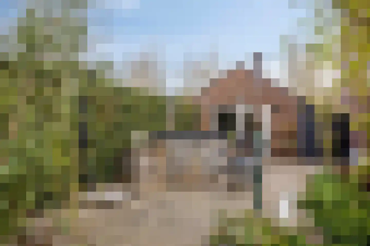 Boskamp 9 Vianen NB thumbnail 5