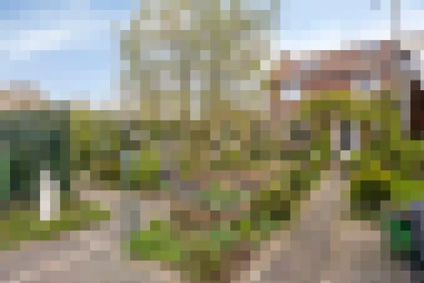 Boskamp 9 Vianen NB thumbnail 6