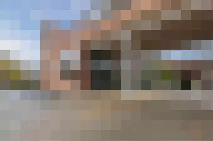 Boskamp 94 Maasland