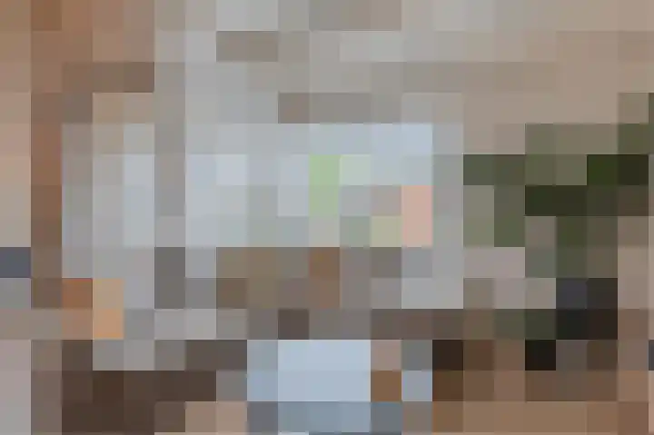 Boskamp 94 Maasland thumbnail 10