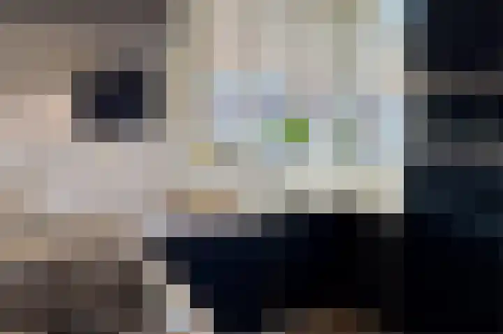 Boskamp 94 Maasland thumbnail 12