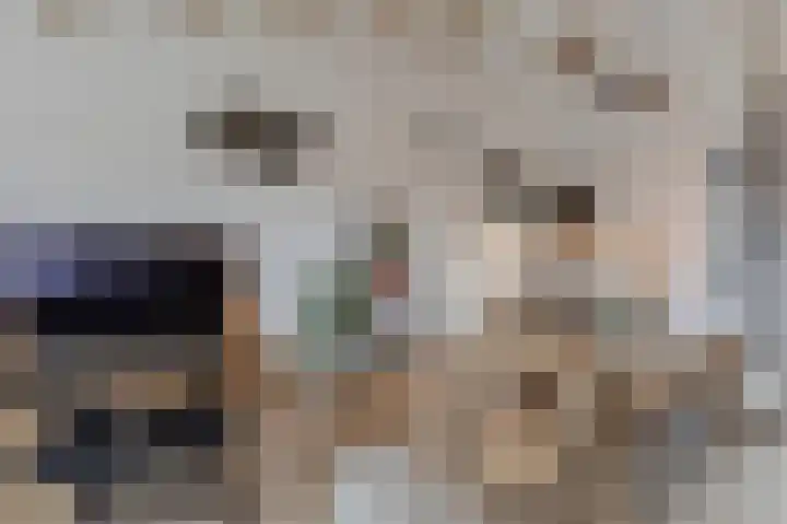 Boskamp 94 Maasland thumbnail 17