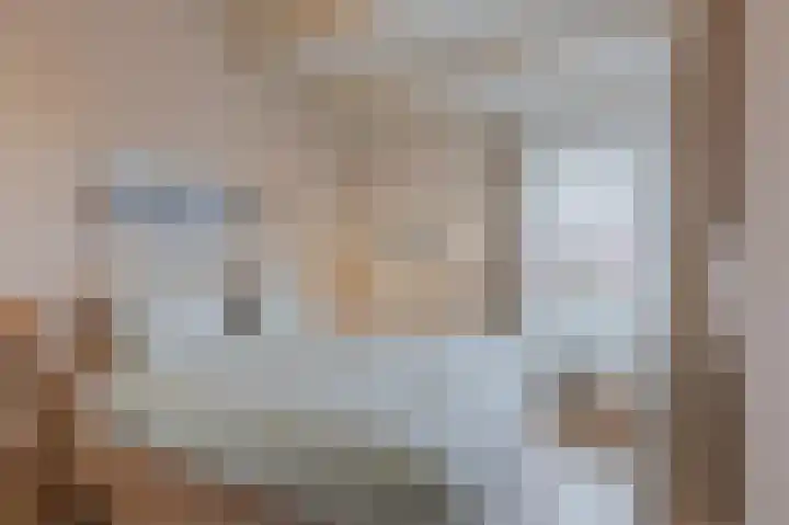Boskamp 94 Maasland thumbnail 19