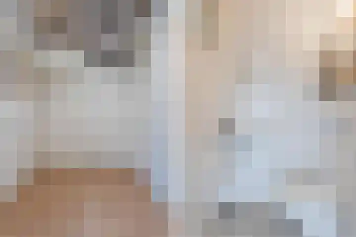 Boskamp 94 Maasland thumbnail 24