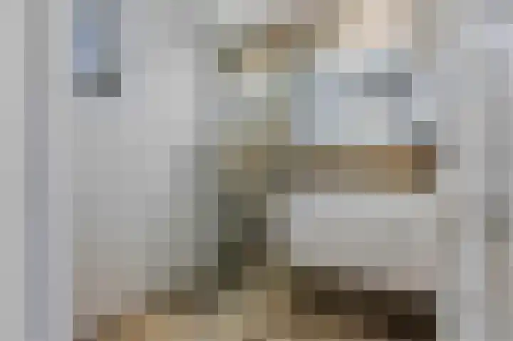 Boskamp 94 Maasland thumbnail 25