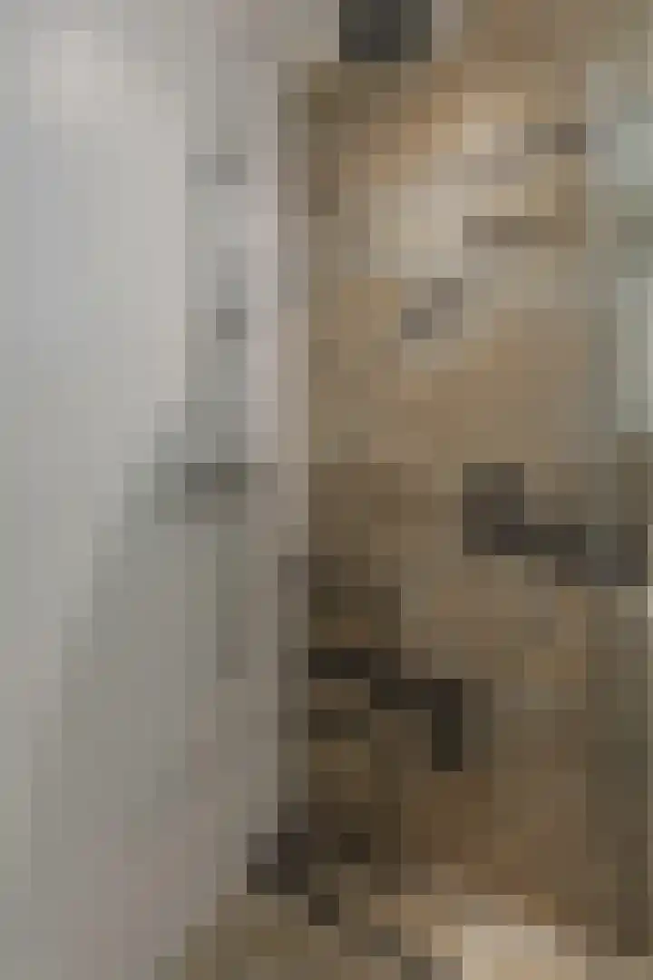 Boskamp 94 Maasland thumbnail 27