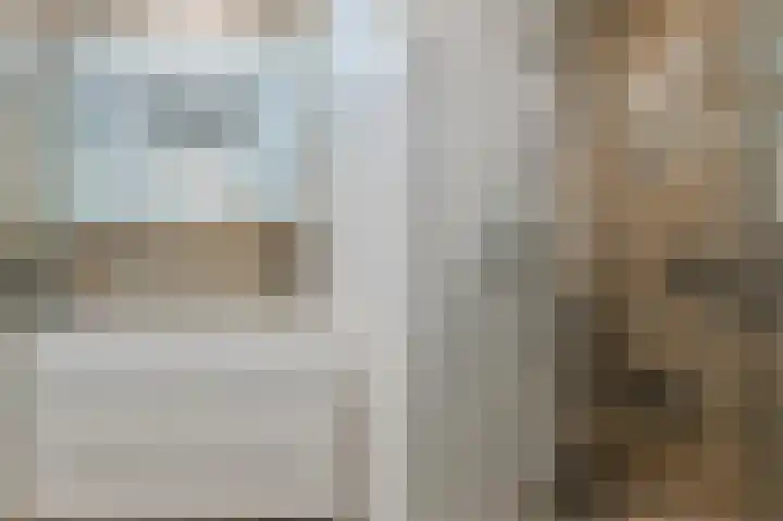Boskamp 94 Maasland thumbnail 28
