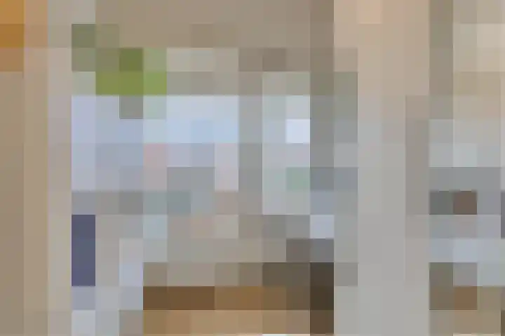 Boskamp 94 Maasland thumbnail 30