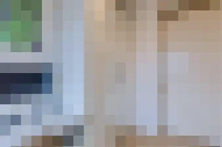 Boskamp 94 Maasland thumbnail 31