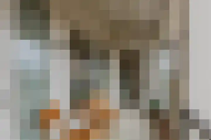 Boskamp 94 Maasland thumbnail 32
