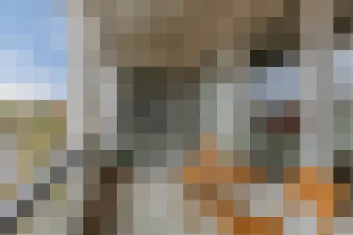 Boskamp 94 Maasland thumbnail 33