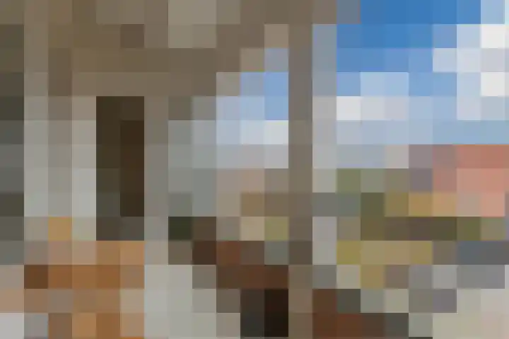 Boskamp 94 Maasland thumbnail 34