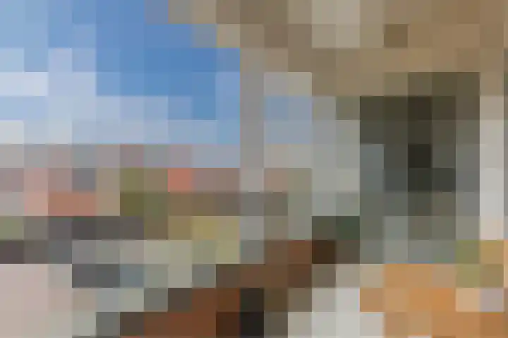 Boskamp 94 Maasland thumbnail 35