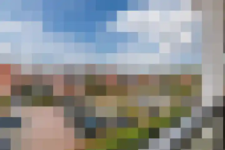 Boskamp 94 Maasland thumbnail 36