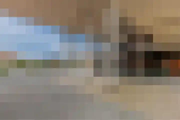 Boskamp 94 Maasland thumbnail 38