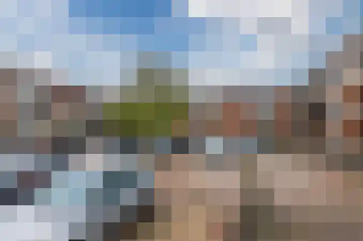 Boskamp 94 Maasland thumbnail 39