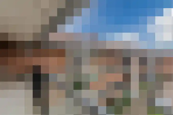 Boskamp 94 Maasland thumbnail 4