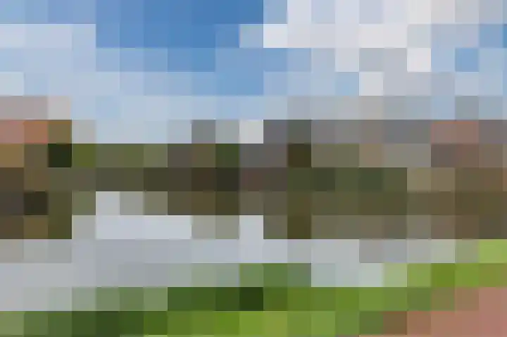 Boskamp 94 Maasland thumbnail 40
