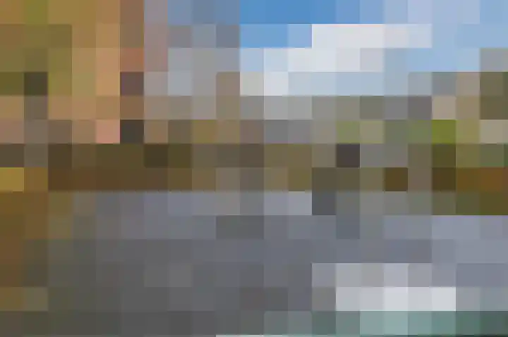 Boskamp 94 Maasland thumbnail 43