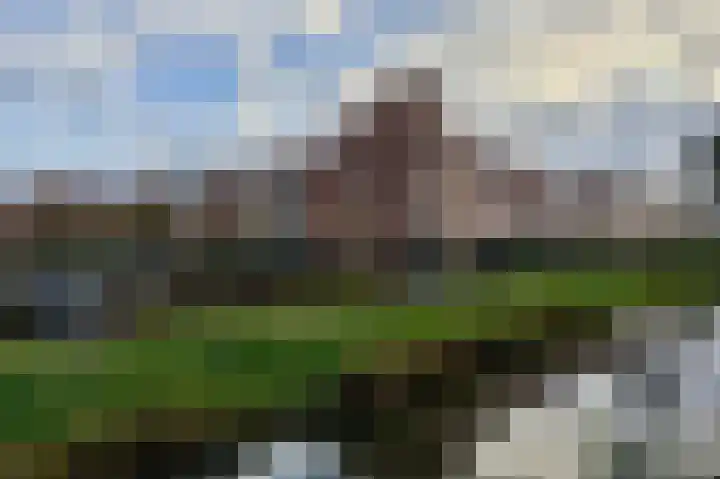 Boskamp 94 Maasland thumbnail 44