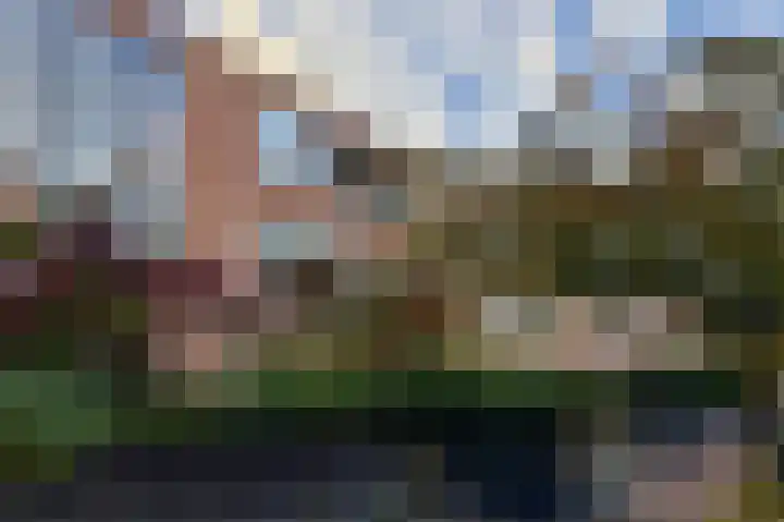 Boskamp 94 Maasland thumbnail 45