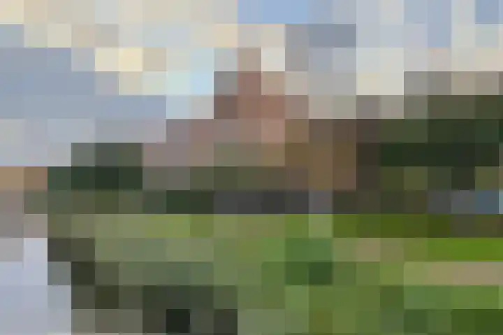 Boskamp 94 Maasland thumbnail 46