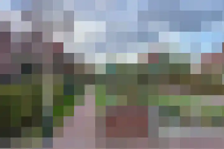 Boskamp 94 Maasland thumbnail 47
