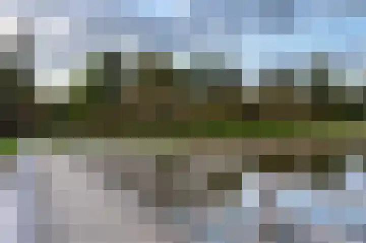 Boskamp 94 Maasland thumbnail 48