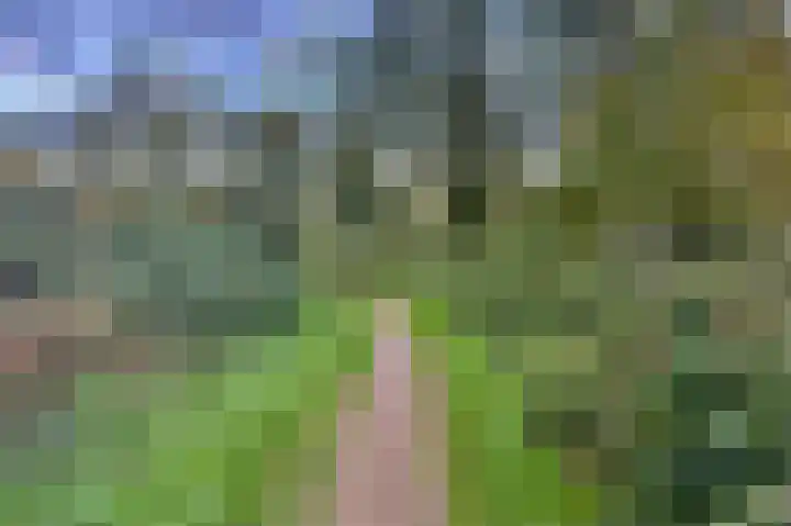 Boskamp 94 Maasland thumbnail 49