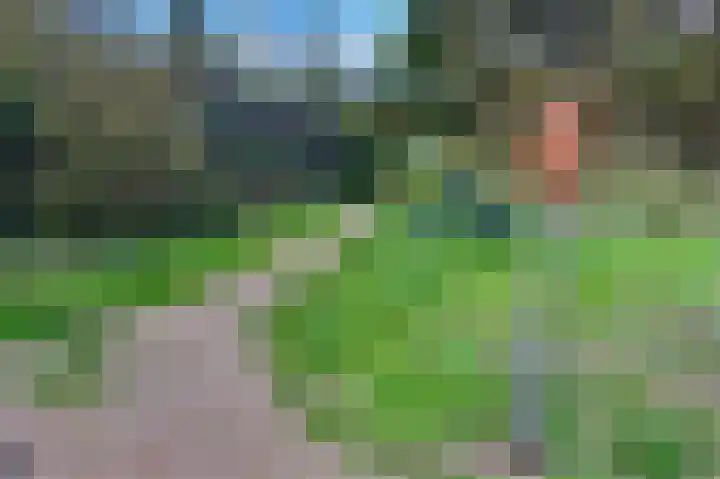 Boskamp 94 Maasland thumbnail 50